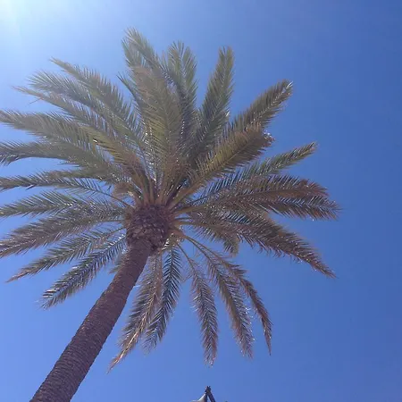 Jazmin By Family Homes Appartement *